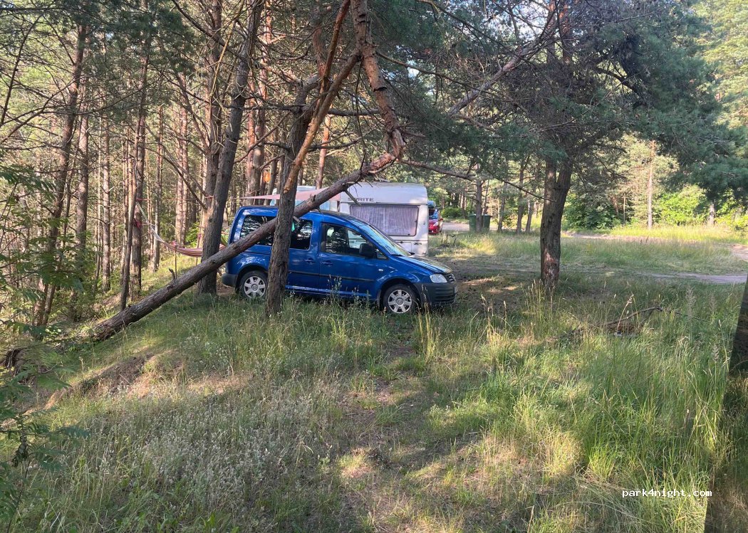 (00221) Palanga - 2A Paliepgirių kelias — foto 3