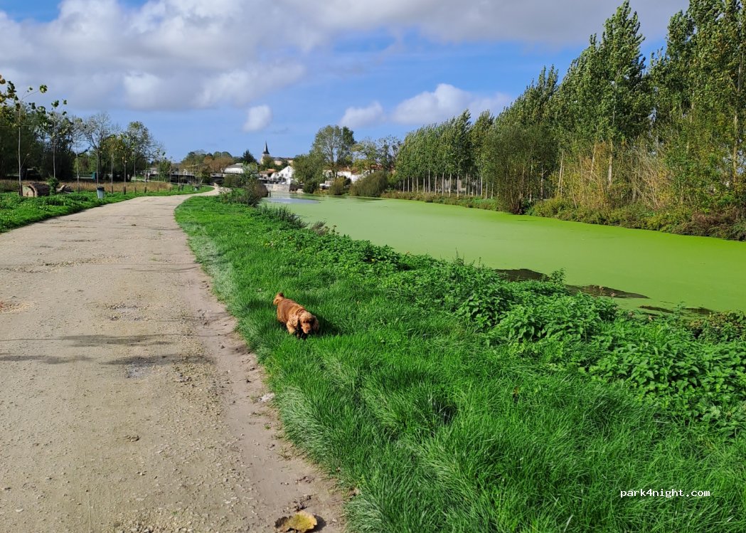 (17380) Tonnay-Boutonne - Luret — foto 3
