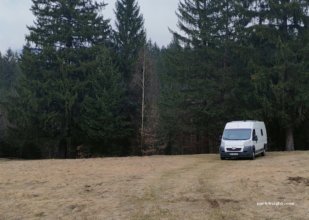 (505303) Timișu de Sus - Strada Bradului — foto