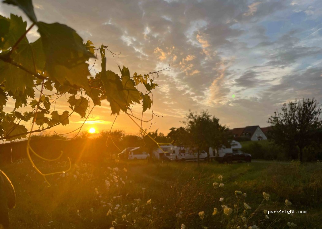 Weingut Emmerich — foto 4