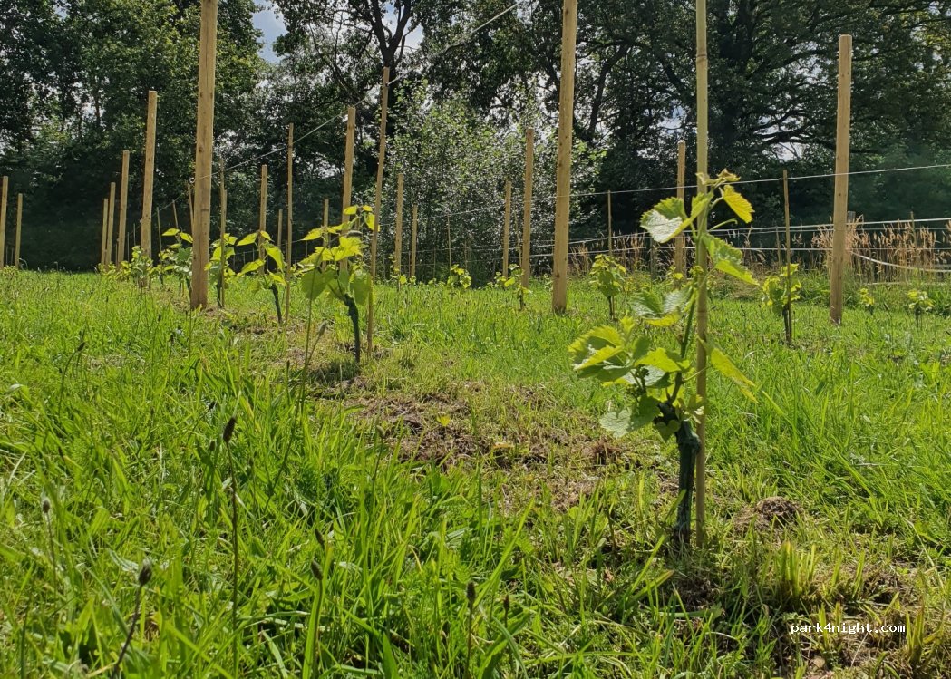 Verbindingsboerderij de Koolberg — foto 3