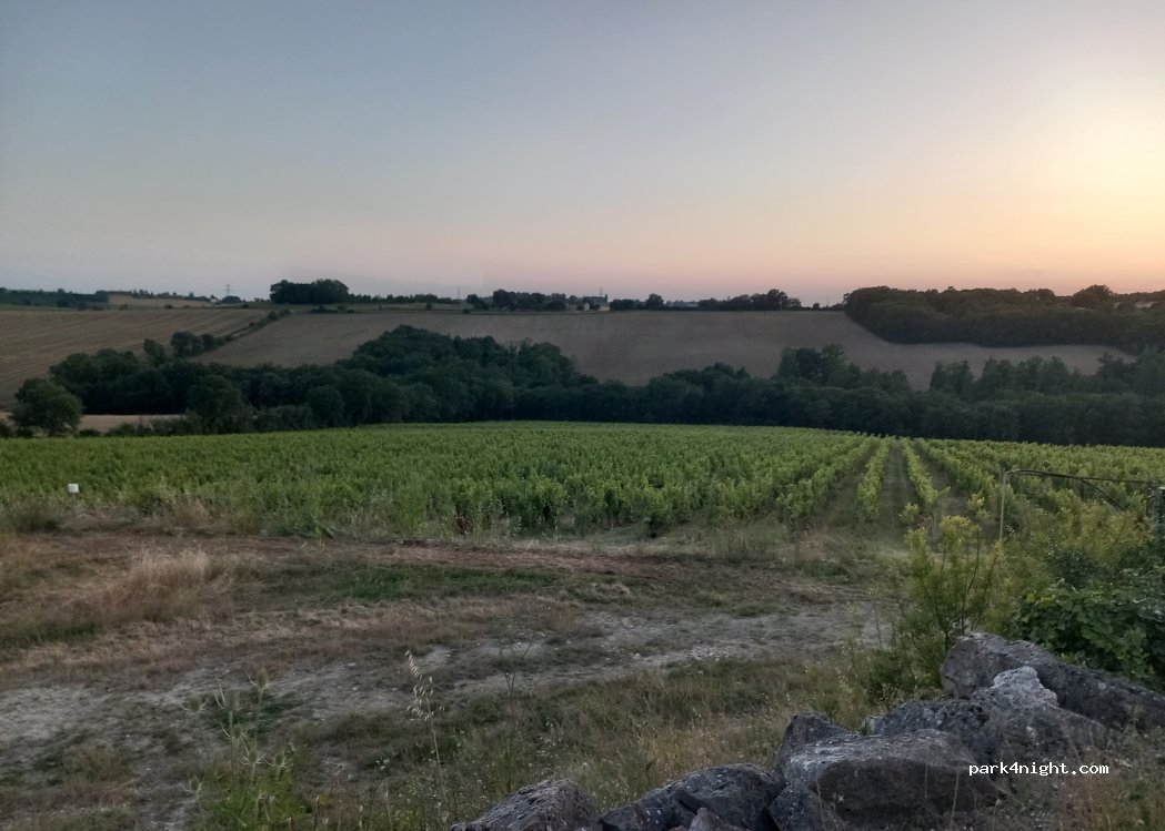 Château Sauvagneres — foto 3