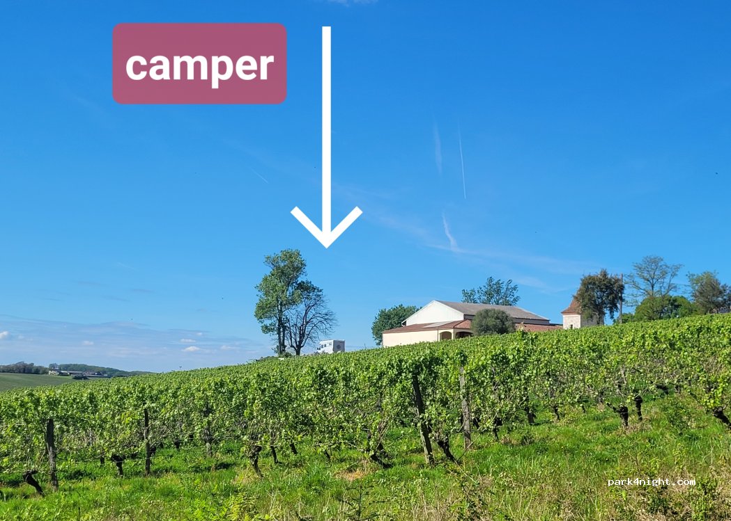 Château Sauvagneres — foto 5