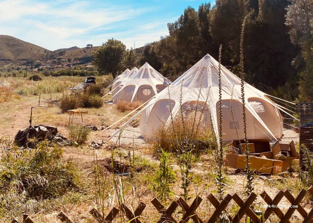 Orange Eco Land — foto 2