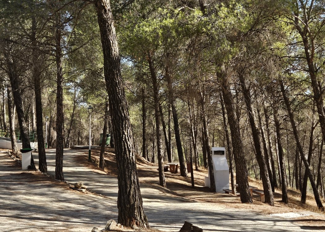 Camping Parque Ardales — foto 4