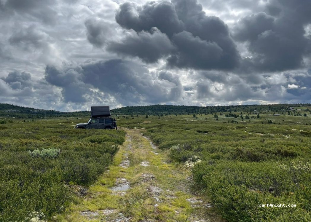 (2646) Gålå - — foto 2