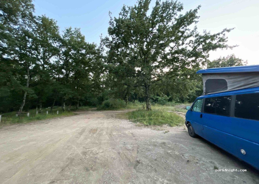 (6274) Pomjan - — foto