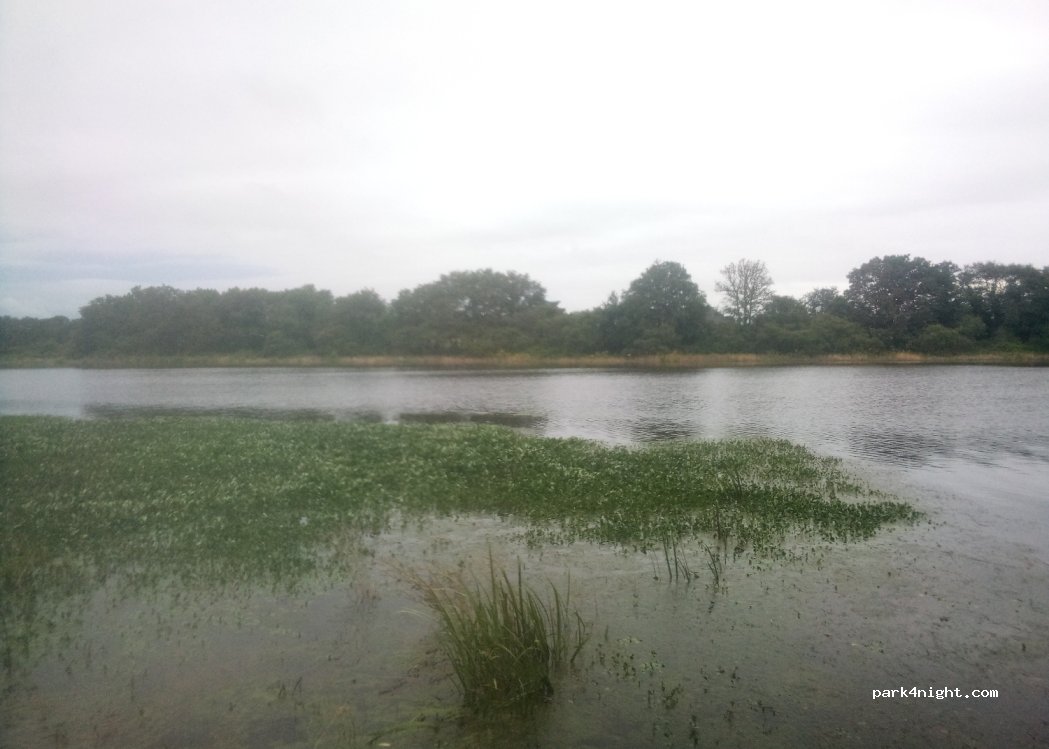 (44440) Joué-sur-Erdre - — foto 3