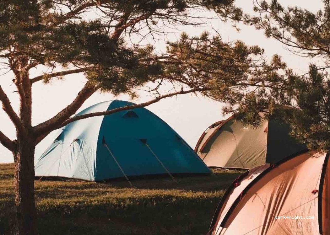 Wonderful Camping — foto 3
