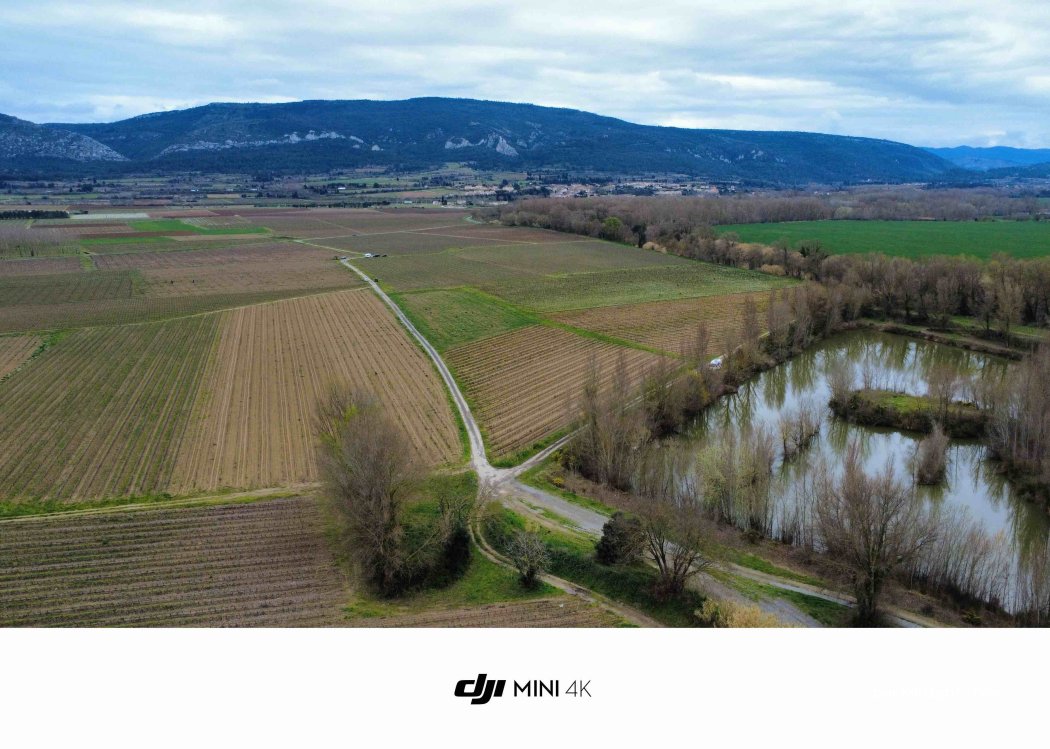 (11800) Barbaira - — foto 5