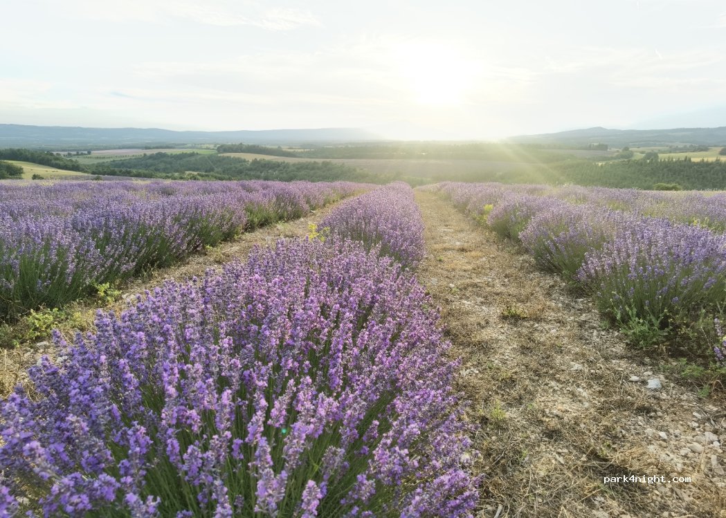 (04150) Redortiers - 485 Route des Capellans — foto 2