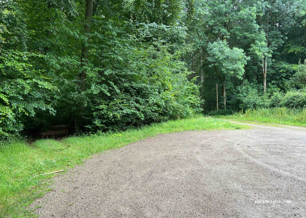 (54636) Wolsfeld - 7 Wolsfelderberg — foto