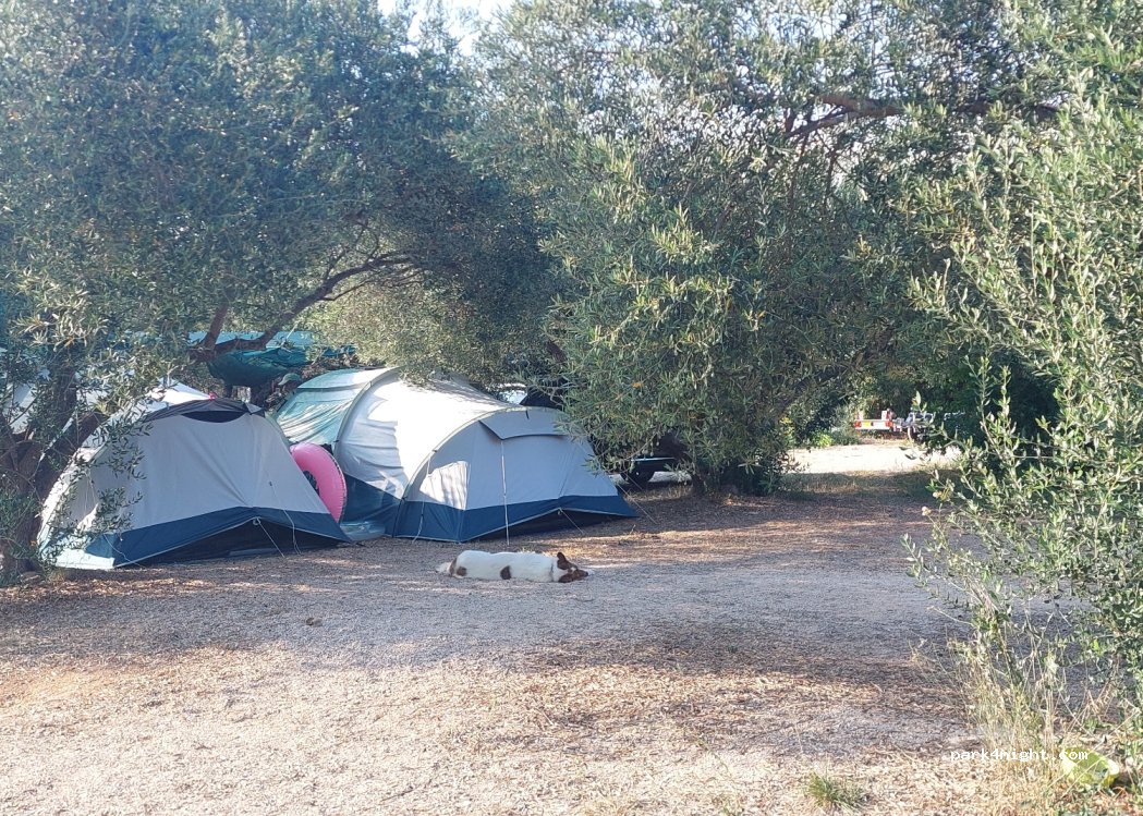 Kamp Tome — foto