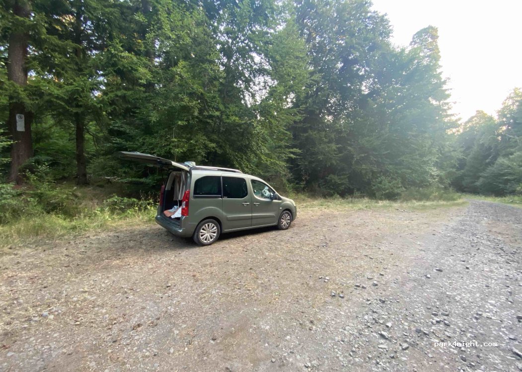 (63790) Le Verdier - Le Verdier — foto 5