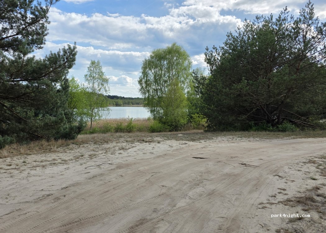 (64-730) Mężyk - — foto 5