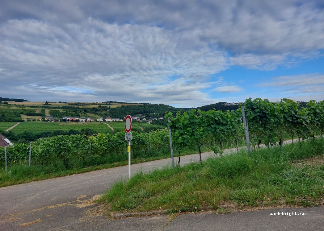 (5401) Wormeldange - 1 Rue des Roses — foto