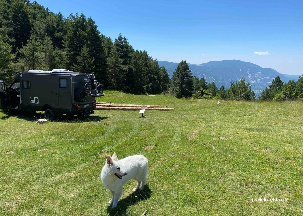 (25794) L'Alzina d'Alinyà - — foto