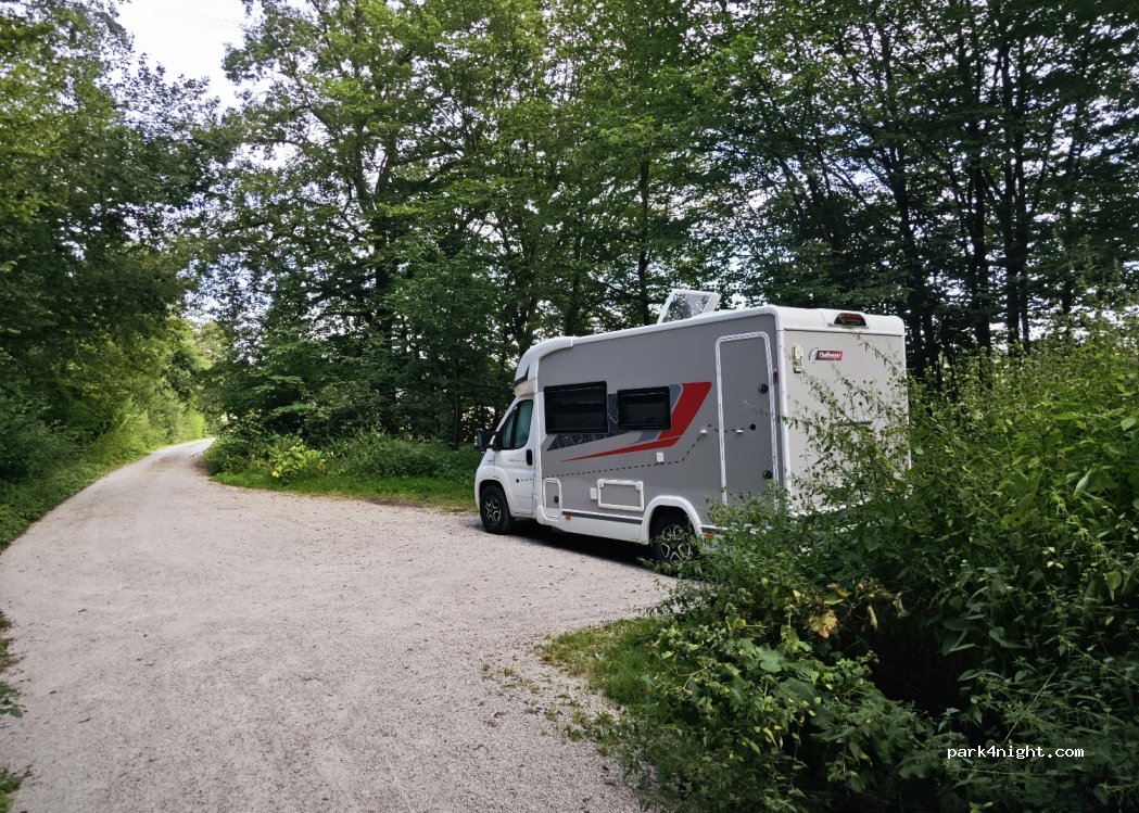 (96163) Zückshuter Forst - — foto