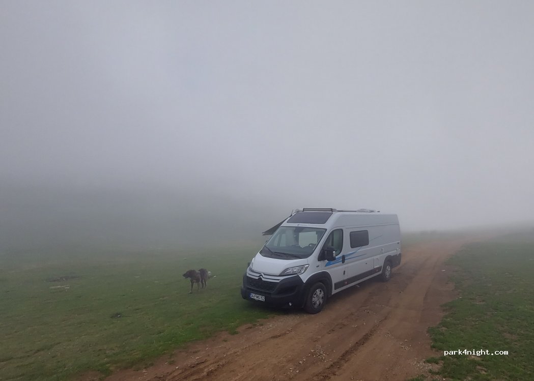 (61690) Şalpazarı - Unnamed Road — foto