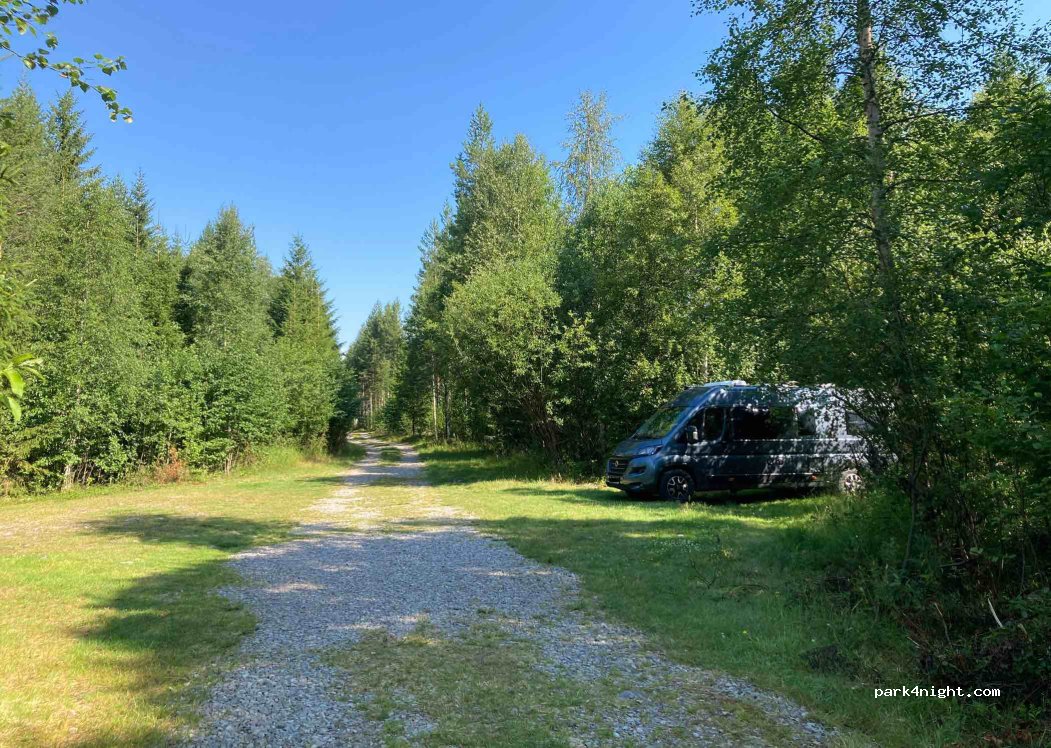 (2422) Trysil - 260 Riksveg 26 — foto 5