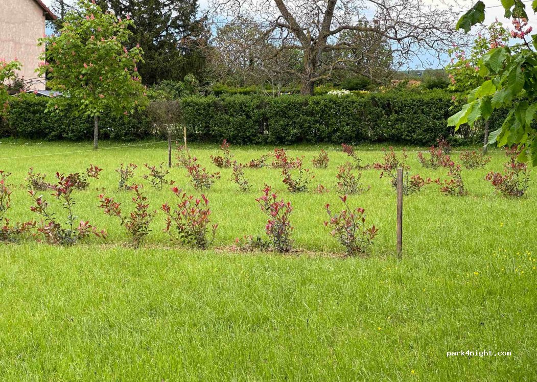 Le domaine de la Belle Demeure — foto 4