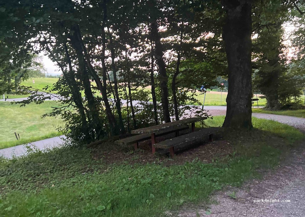 (79686) Hasel - Unnamed Road — foto 3