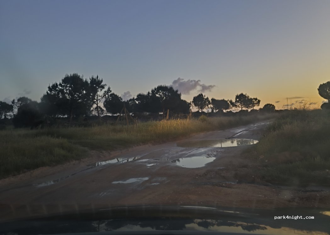 (21730) El Rocío - — foto 3
