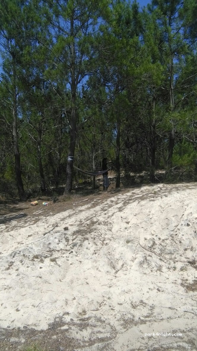 (33680) Lacanau - D6E1 — foto