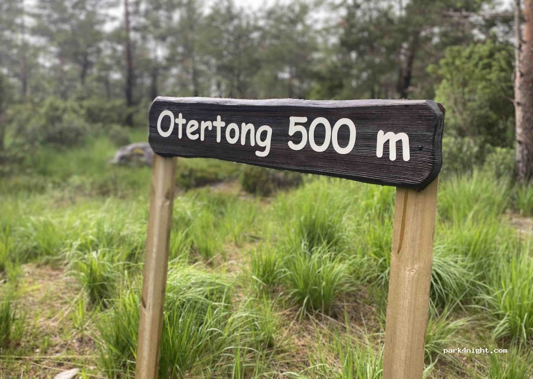 (5574) Skjold - 93 Otertongvegen — foto 2