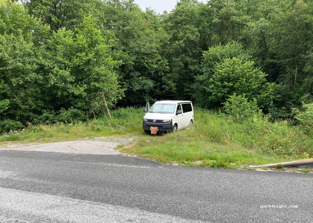 (4580) Lyngdal - 79 Skomraglia — foto