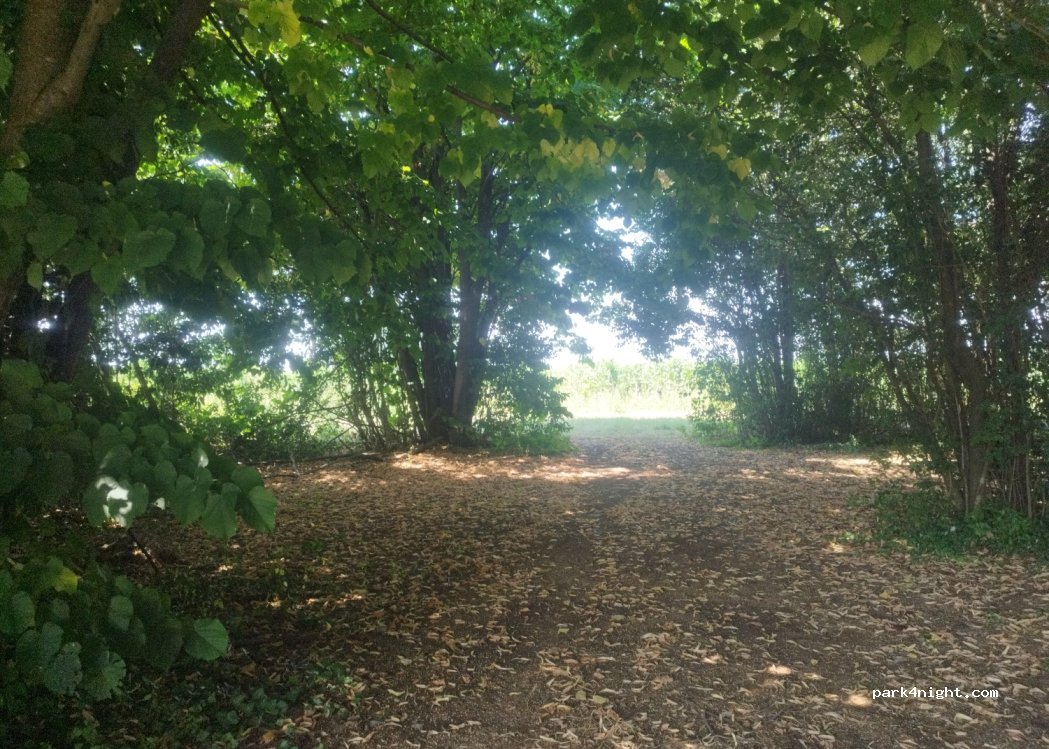 (34070) Mariano del Friuli - Via Trieste — foto 3