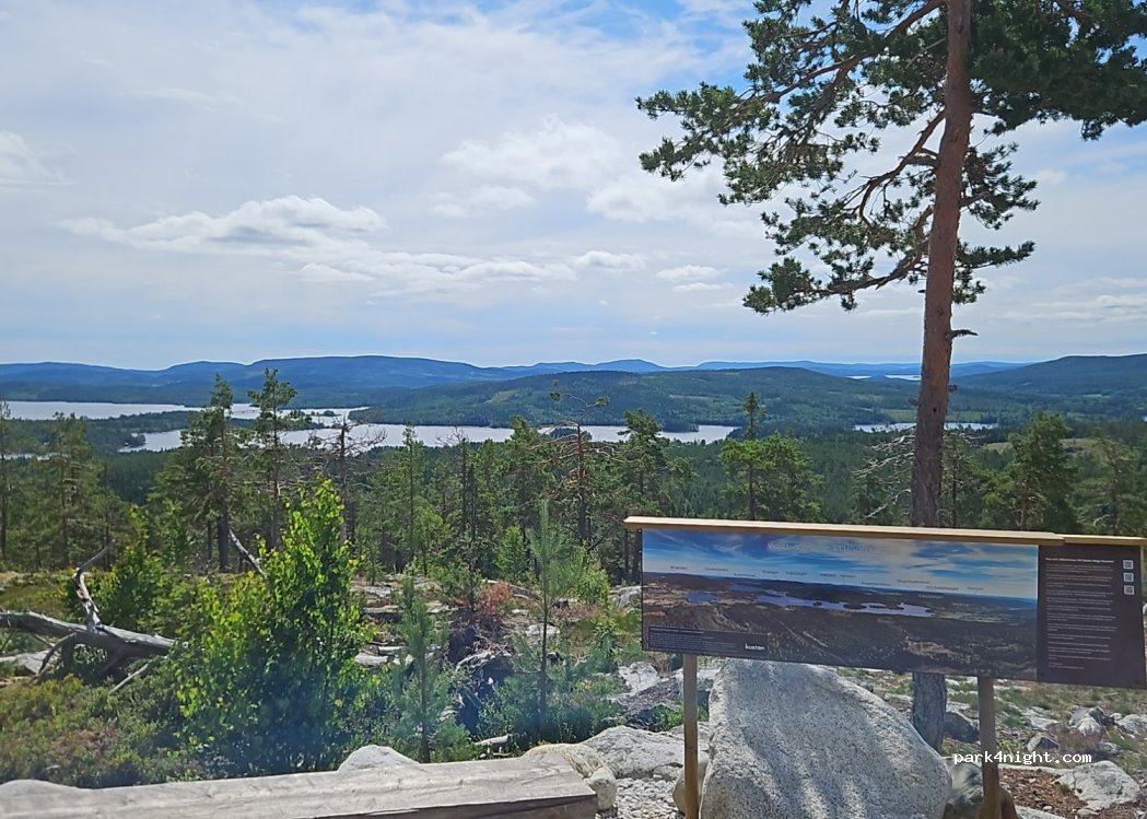 (872 97) Skog - Ninavägen — foto 2