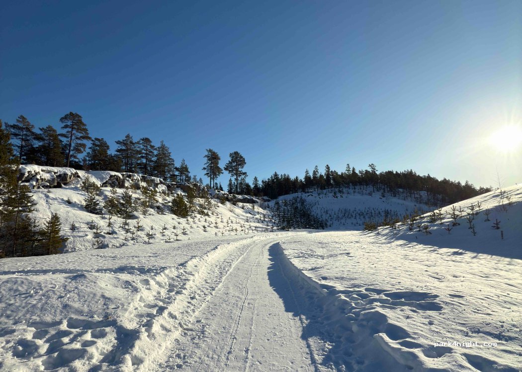 (872 97) Skog - Ninavägen — foto 5