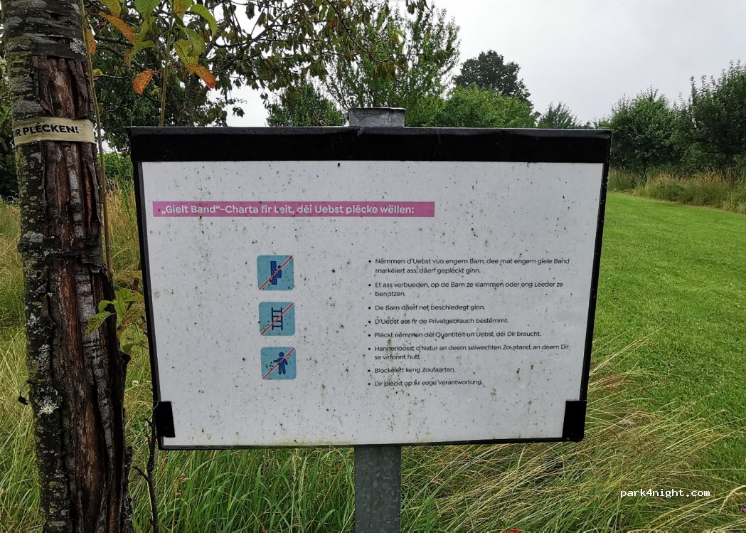 (9378) Parc Hosingen - — foto 2