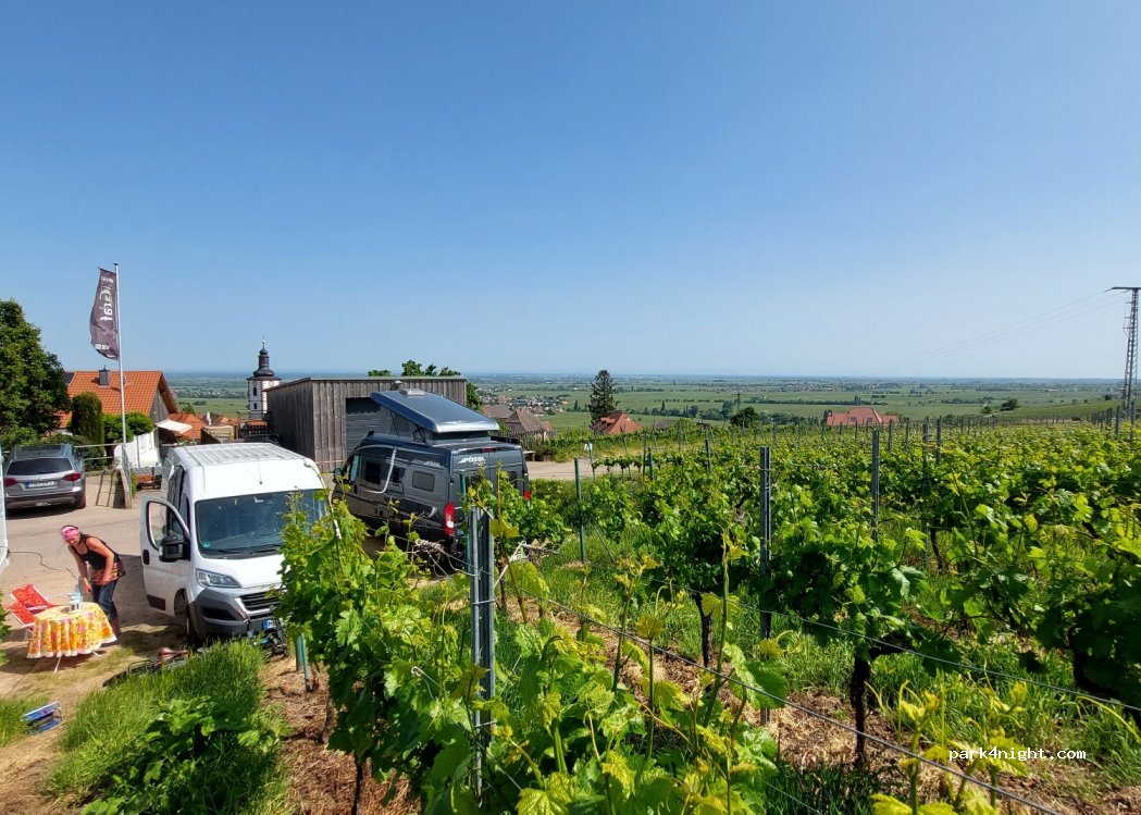 Weingut Graf von Weyher — foto 2