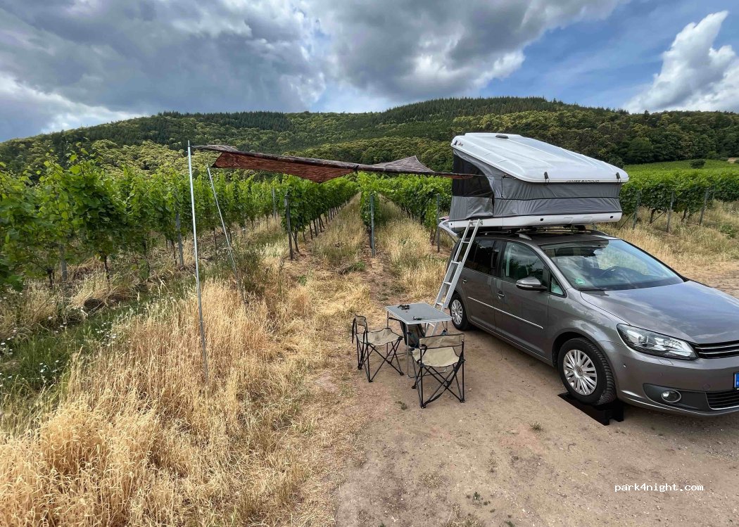 Weingut Graf von Weyher — foto 3