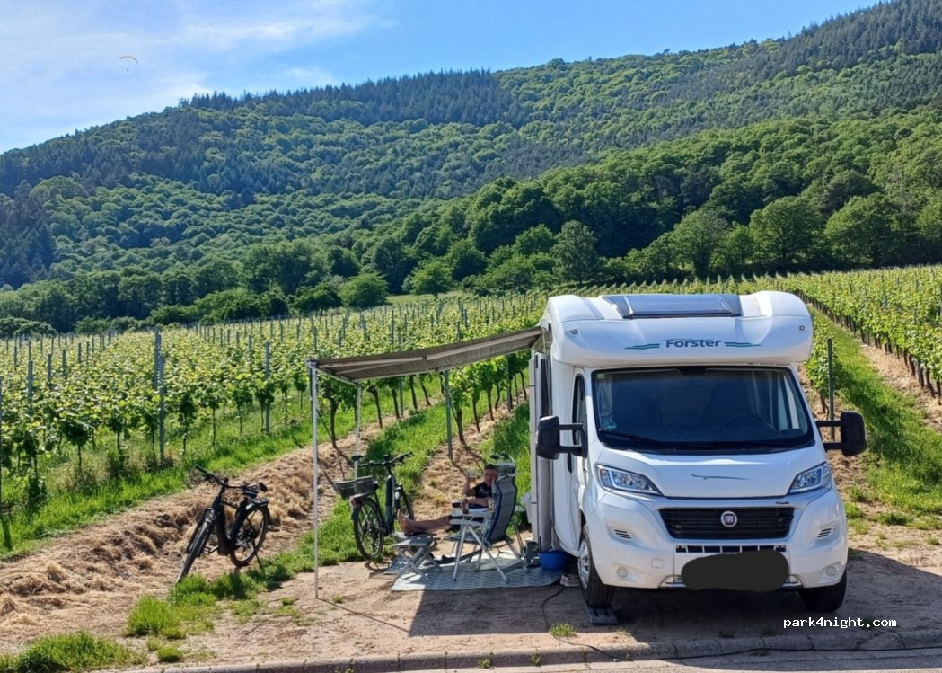 Weingut Graf von Weyher — foto 4
