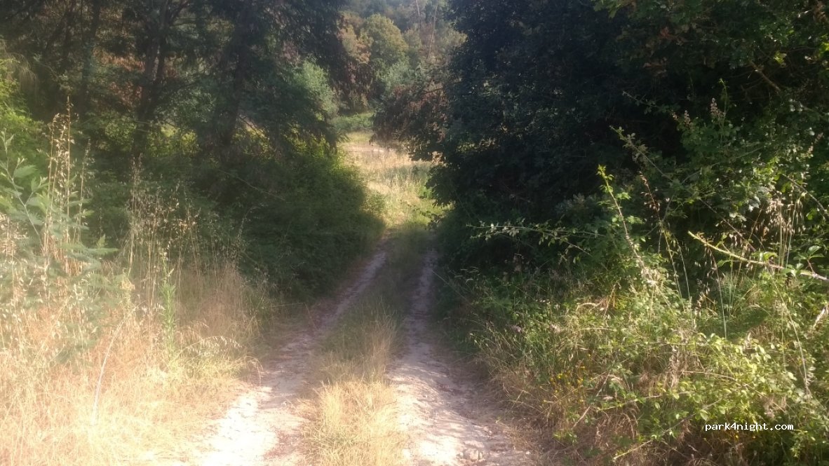 (3430) Carregal do Sal - Unnamed Road — foto 4