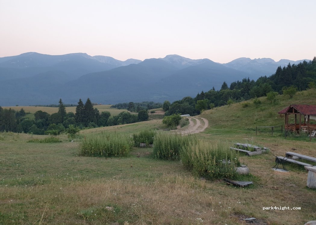 (2020) Govedartsi - — foto