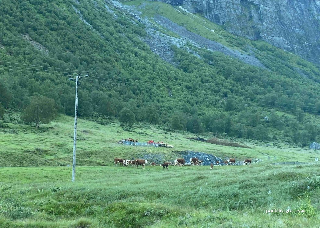 (6215) Eidsdal - 18 Primær Fylkesveg 63 — foto