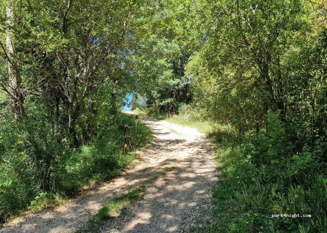 (40515) Riofrío de Riaza - — foto 3