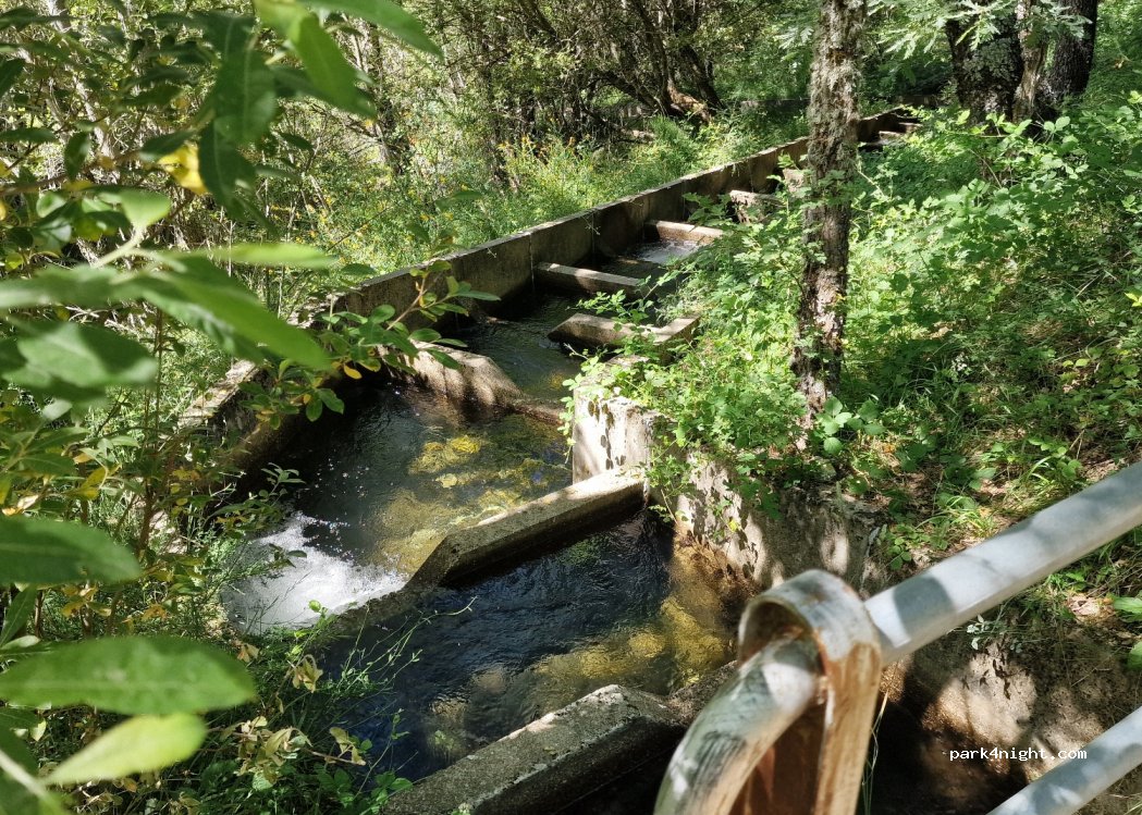 (40515) Riofrío de Riaza - — foto 4