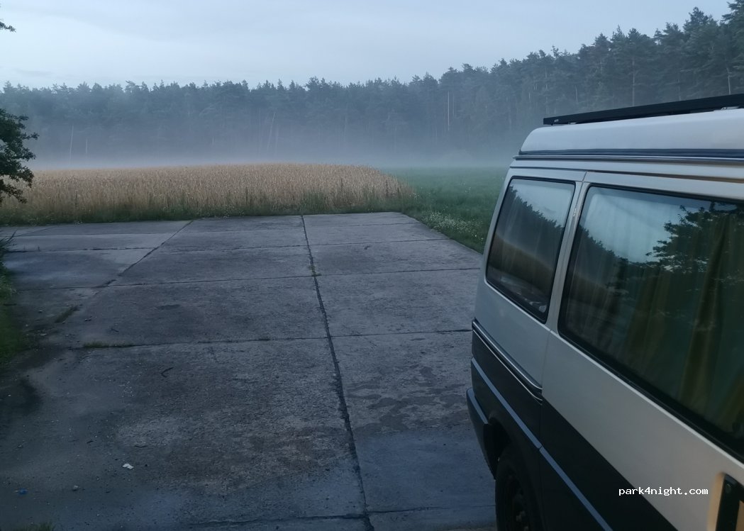 (81-198) Dębogórze - — foto