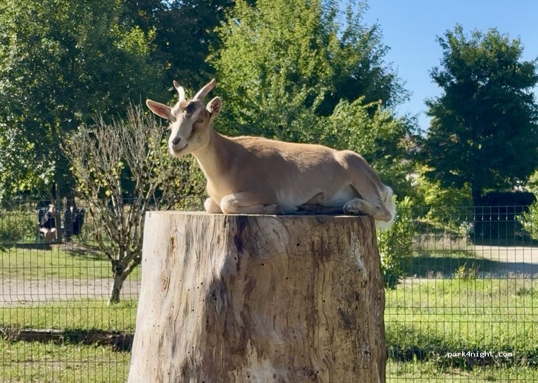 Scierie des Lacs — foto