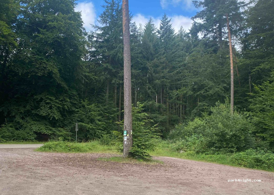 (67471) Elmstein - — foto 4