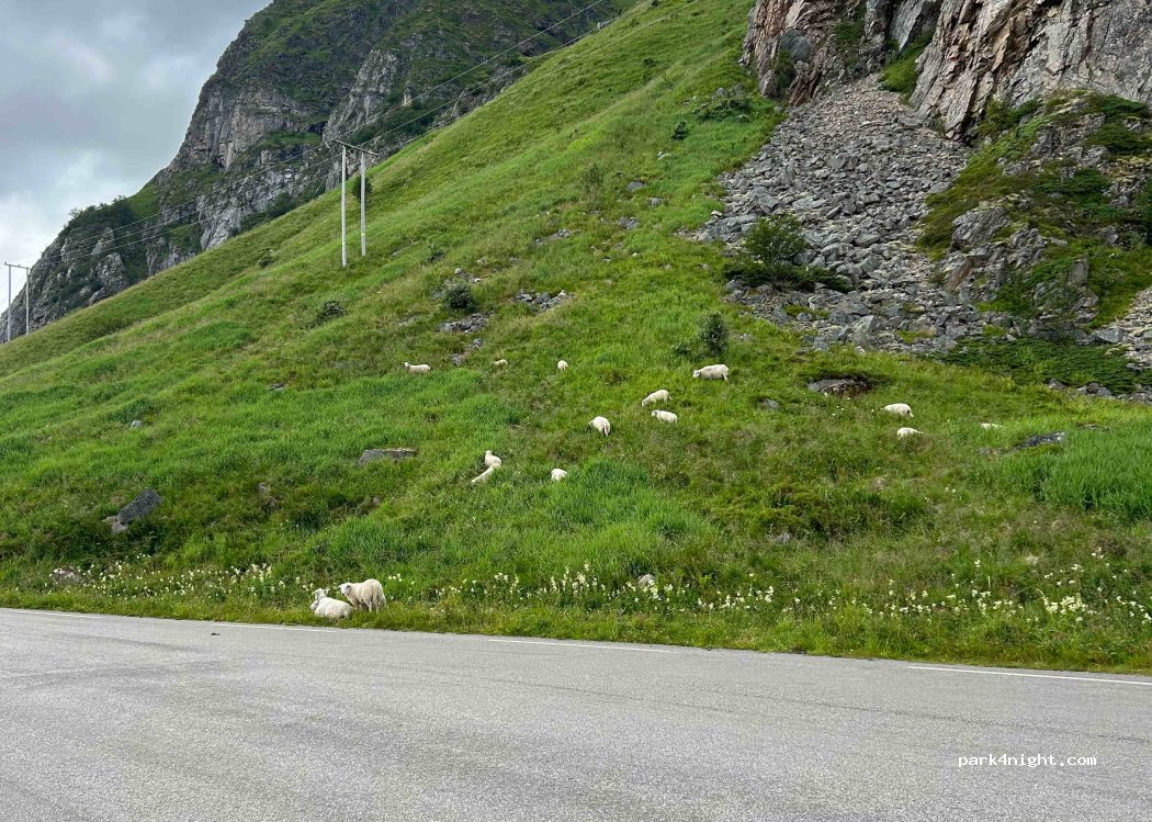 (8370) Leknes - 1170 Valbergsveien — foto