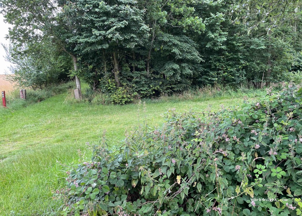 (5935) Bagenkop - 16C Søgårdsvej — foto 3