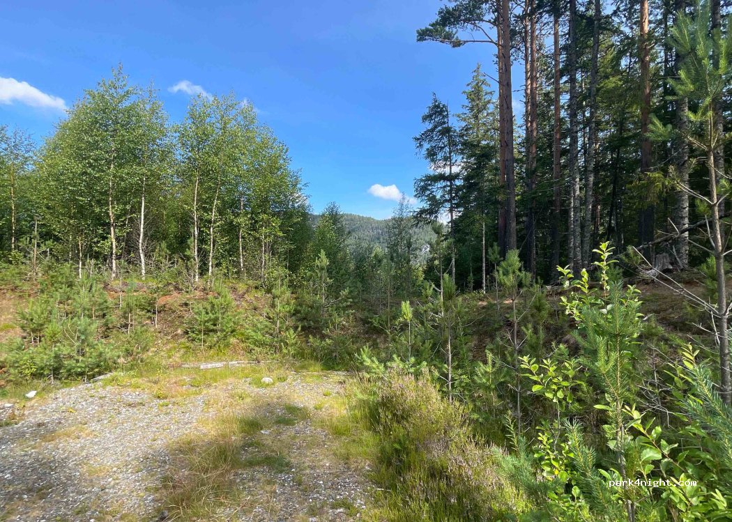 (4745) Bygland - 9 — foto