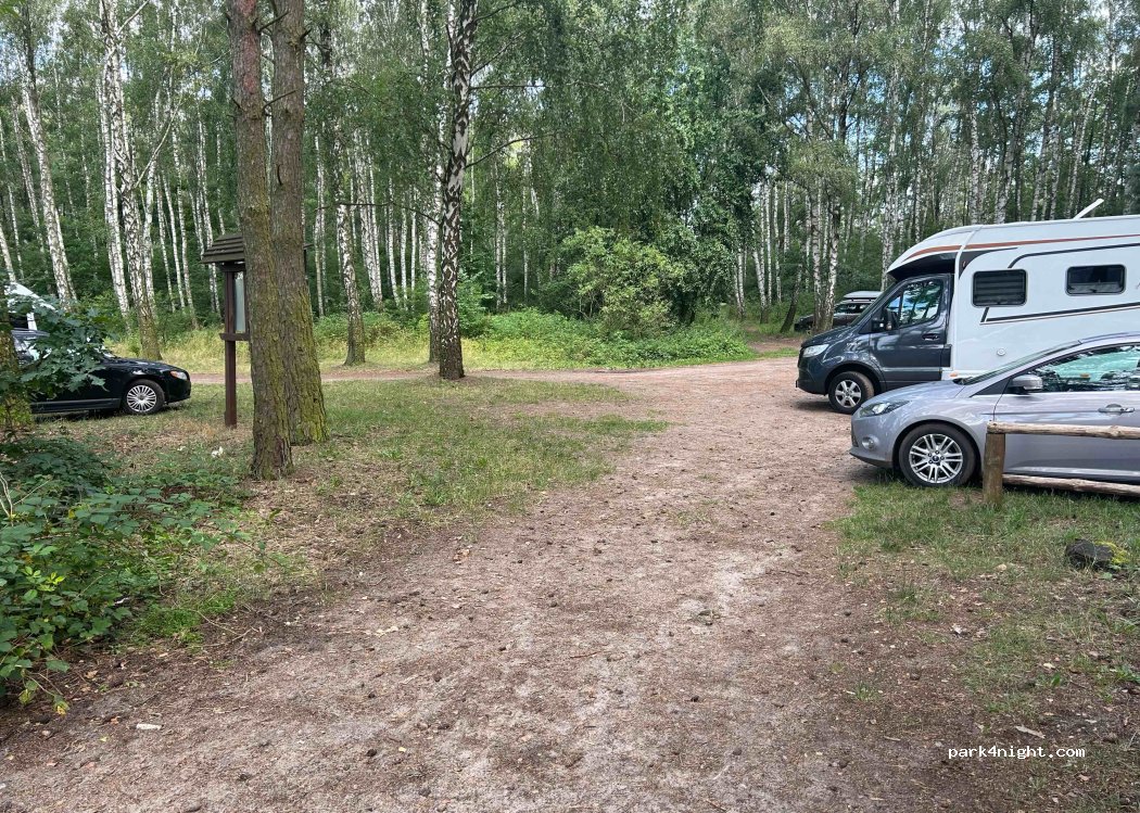 (62-436) Szydłówiec - — foto 3
