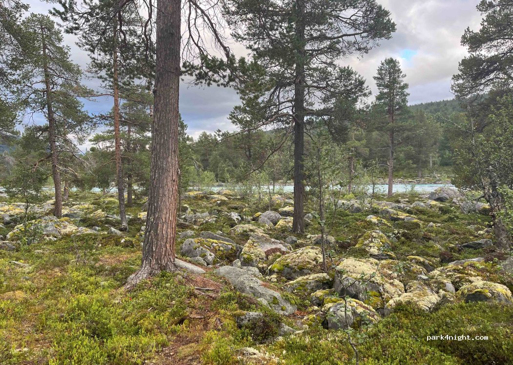 (2693) Billingen - — foto 4